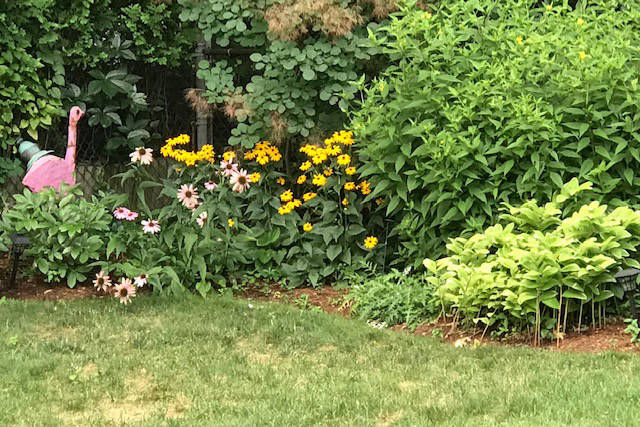 Roslindale condo offered by Trisha Solio